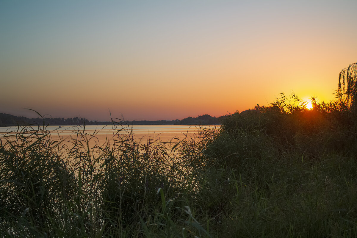 Утро. - Александр. AVG100 ---