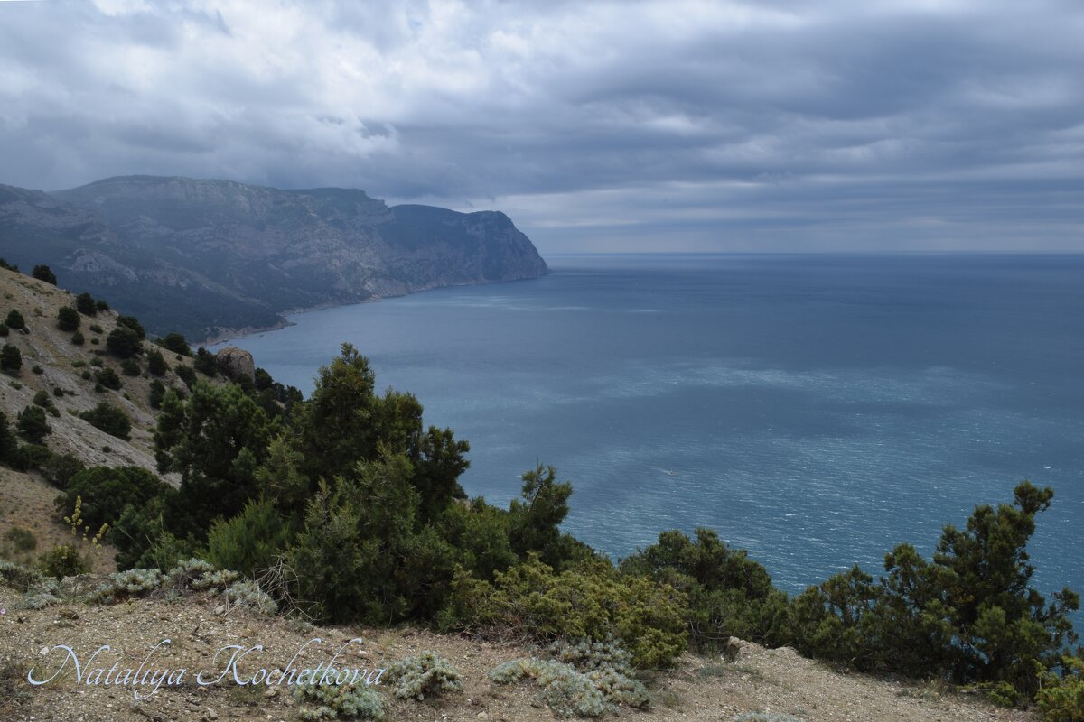 Природа Крыма - Amazing Cosmea