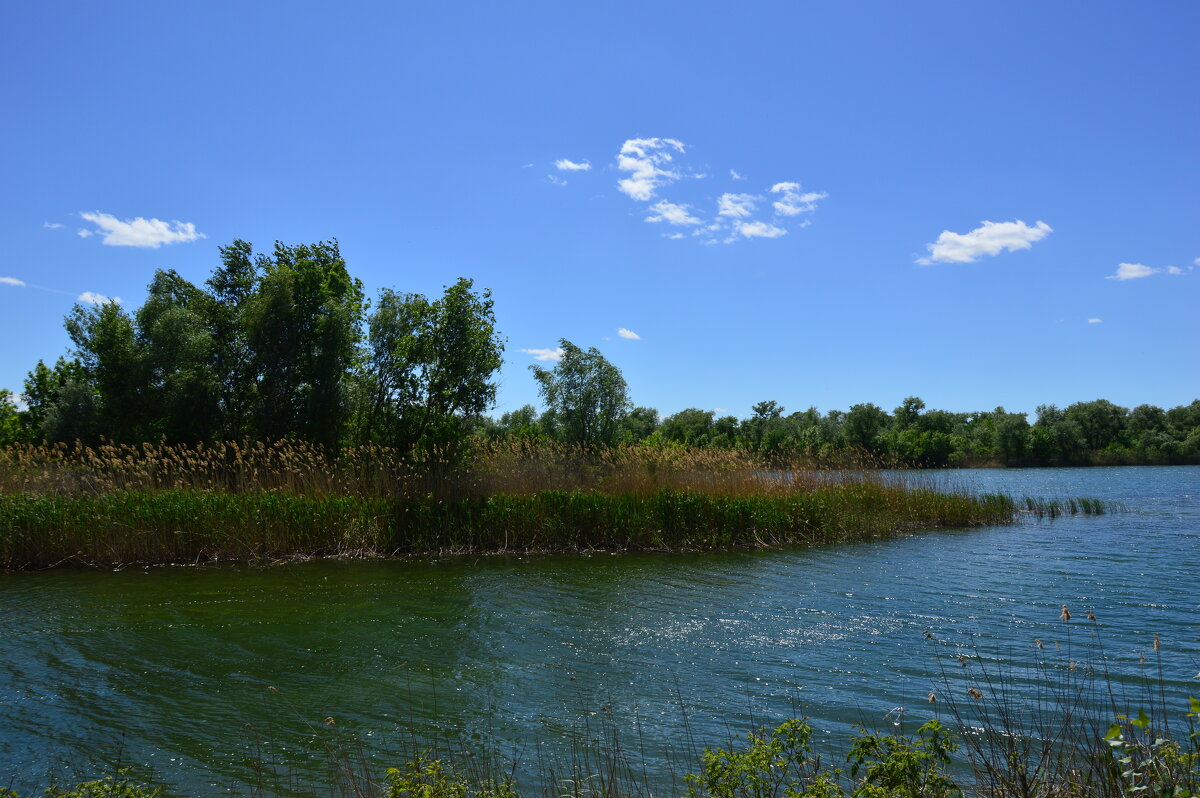 Местная река. - Виктор 