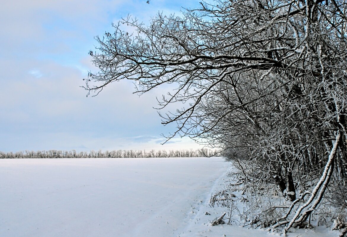 Январь. - Владимир 
