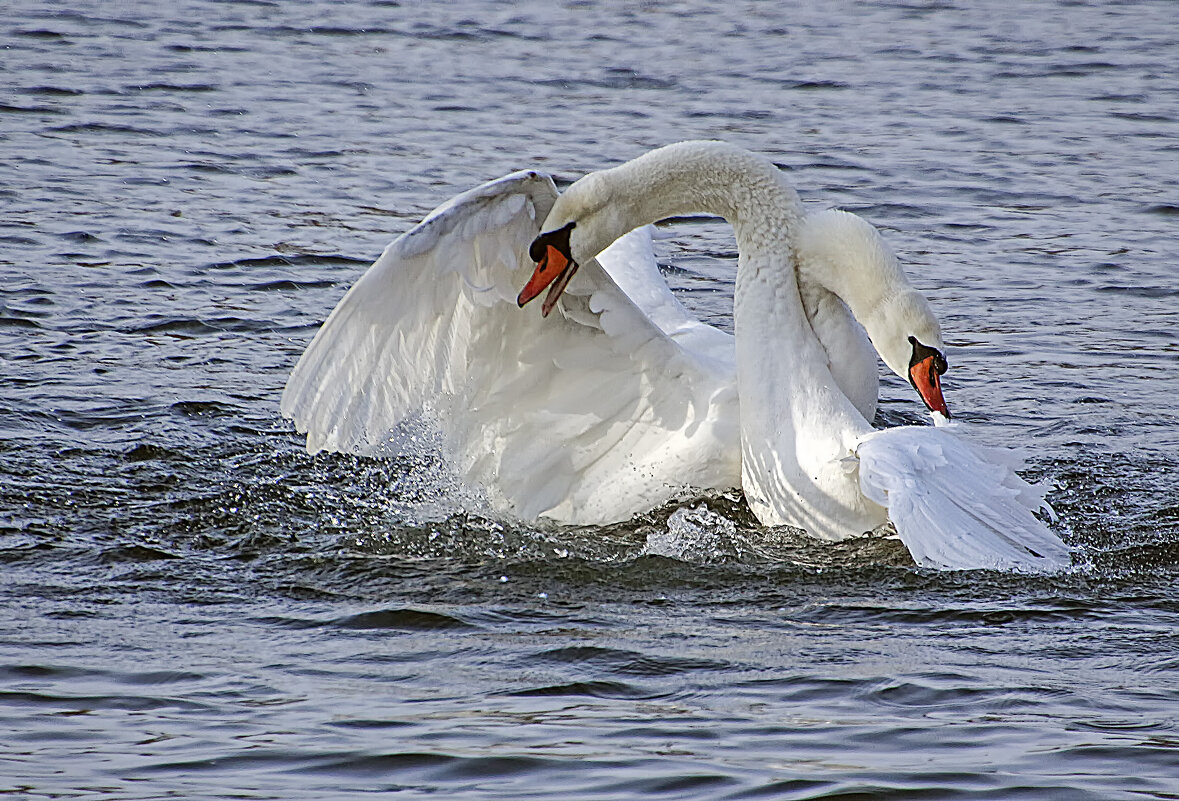 ***** - Андроник Александр 