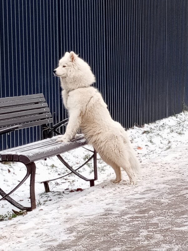 Я жду. - Юрий Журавлев