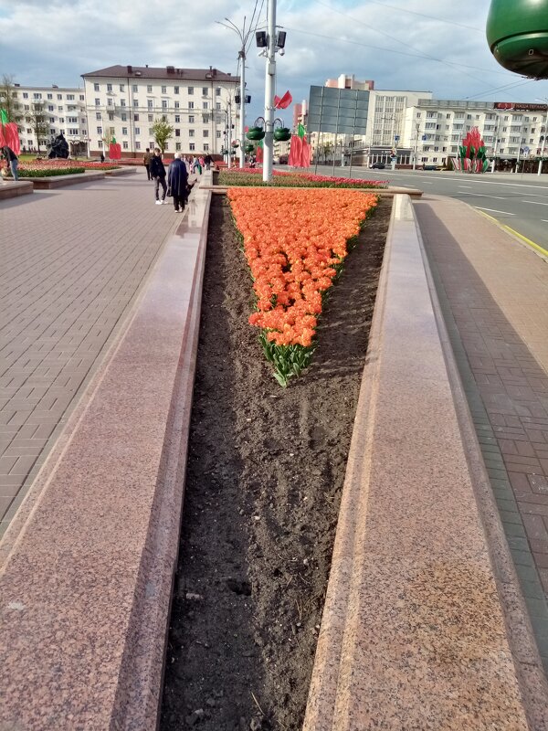 цветник на площади - Сергей Минкевич