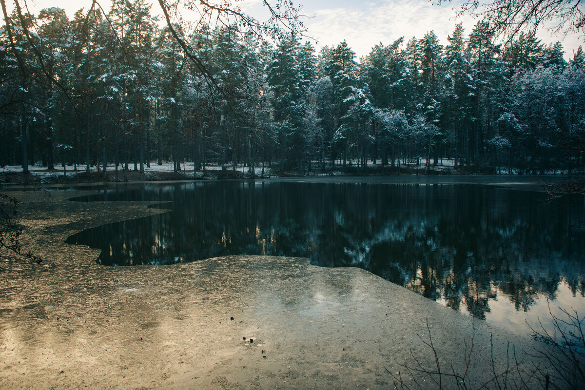 Предзимье на ручье Рябиновка - Вячеслав Владимирович