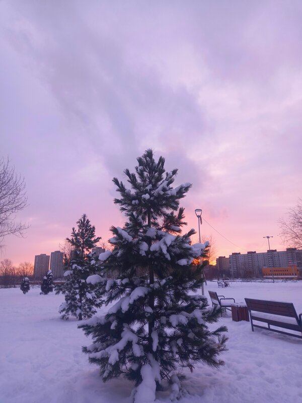 Закат - Сапсан 