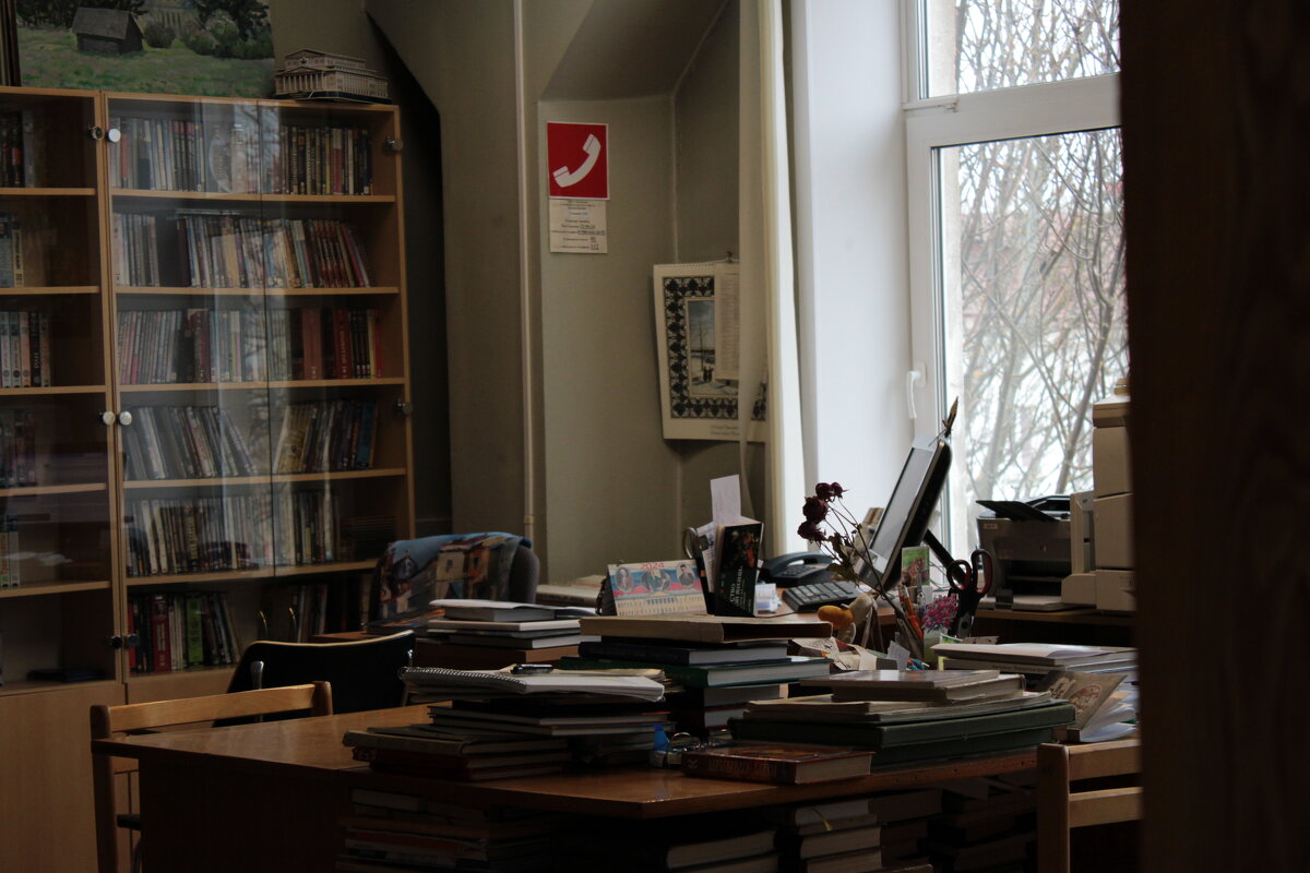 Библиотеке будни - Аннушка 