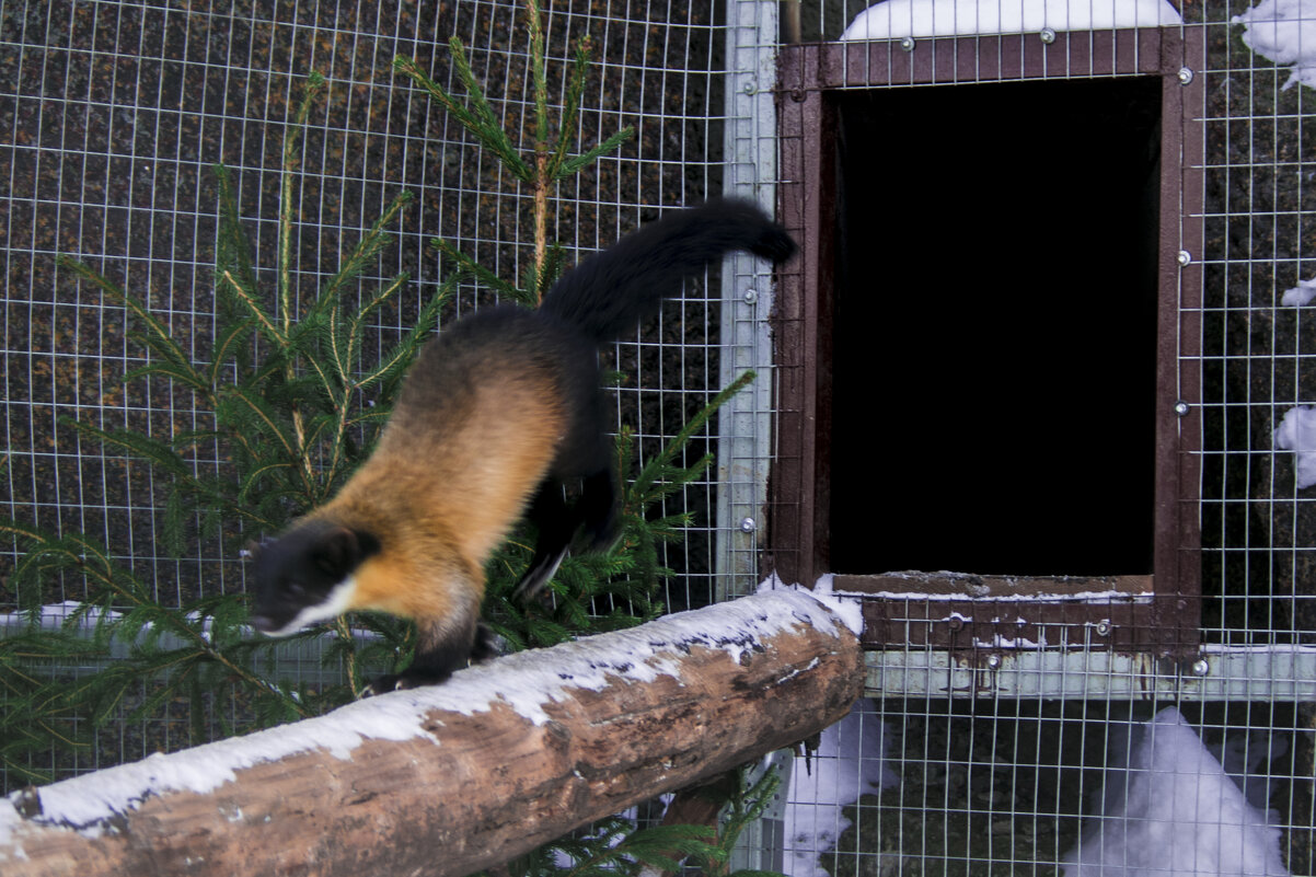 Старики - Я тоже делаю А-ла оП - Владимир Максимов Старики - Я тоже делаю А-ла оП - Владимир Максимов