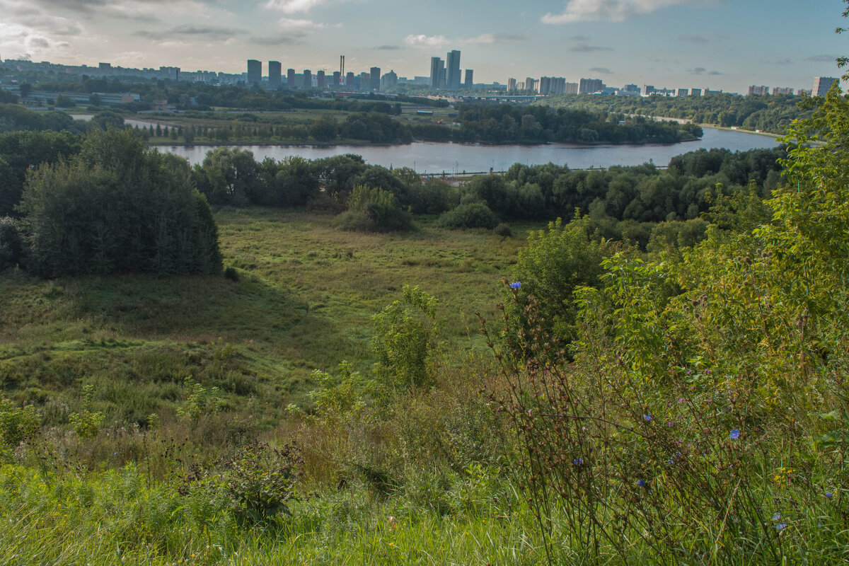 Прогулка по Коломенскому - Владимир Жуков