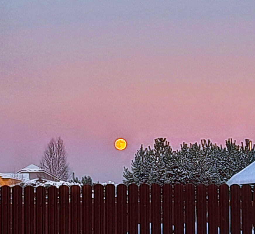 ❄️ - Наталья 