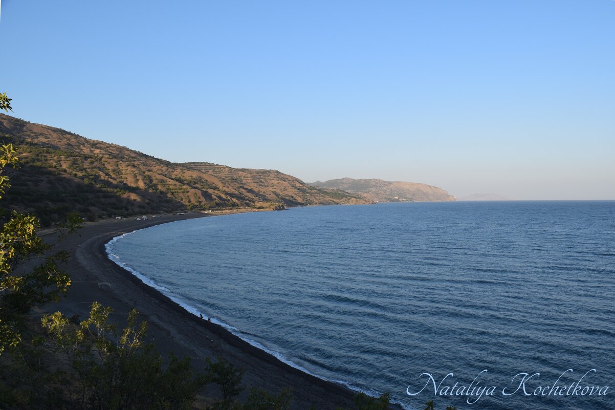 Природа Крыма - Amazing Cosmea