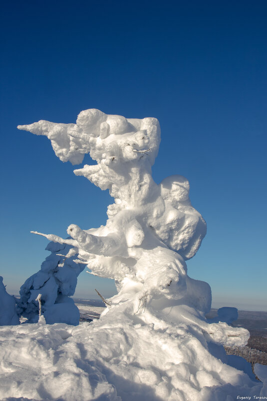Турист - Евгений Тарасов 