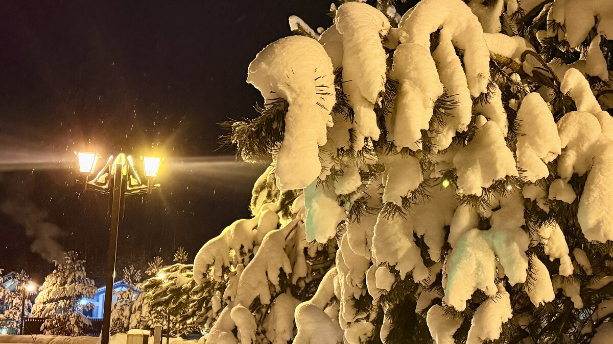 «Снежные лапы» - Арина Невская