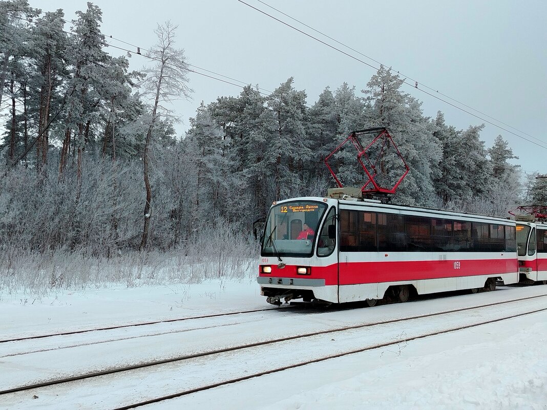 Трамвай в лесу - Надежда 