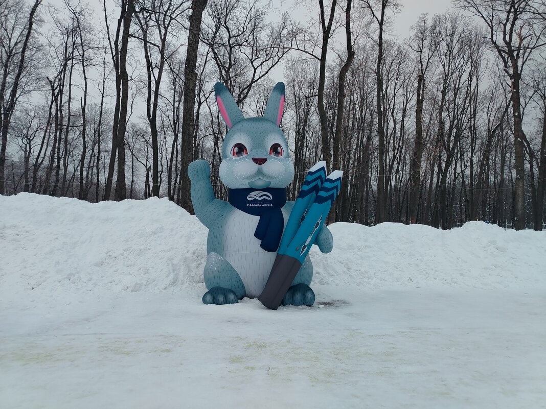 В Самаре в лесу водятся зайчата - Надежда 