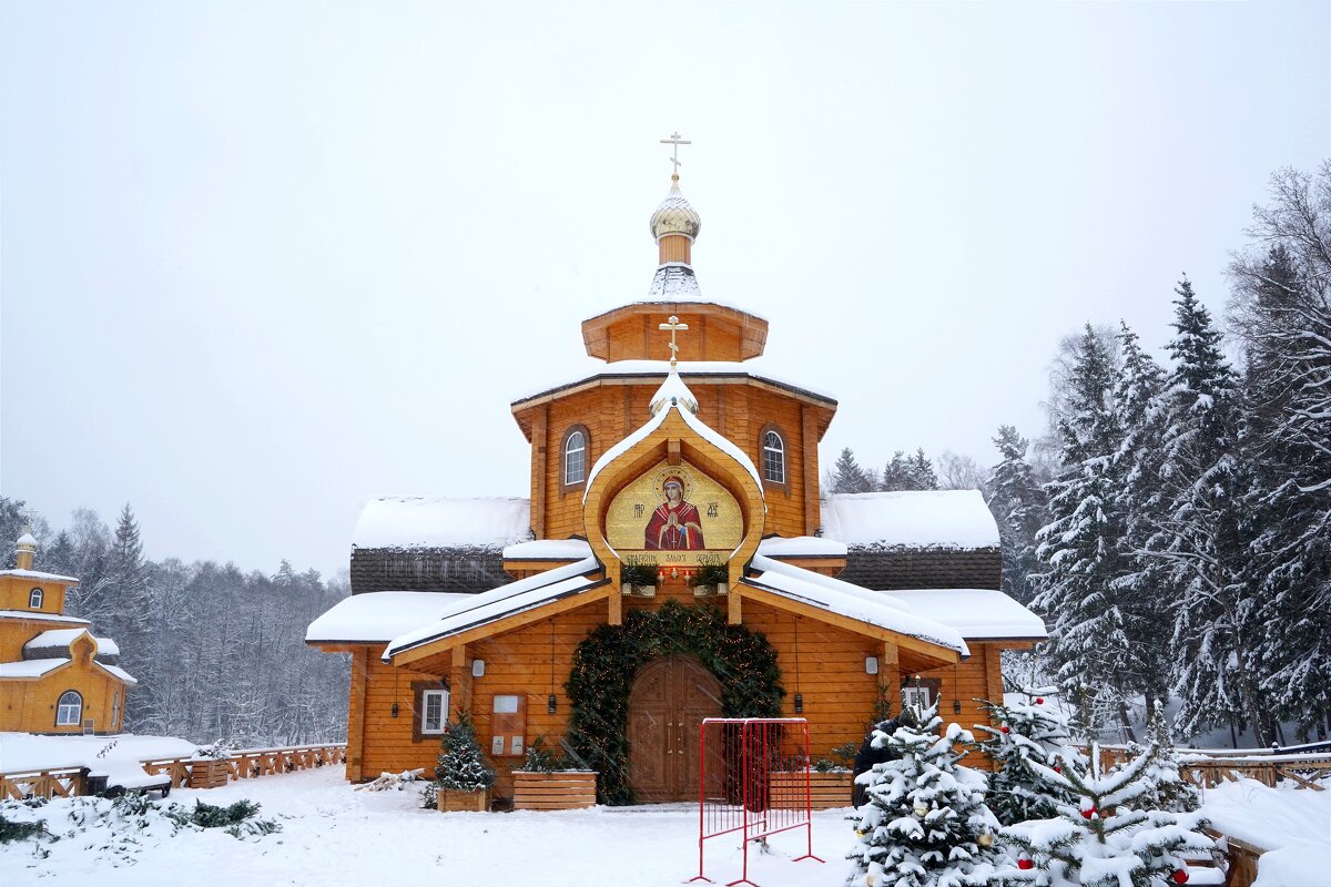 Зима за городом - Татьяна Тюменка
