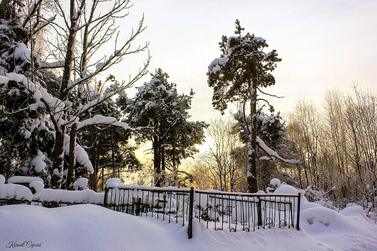 Зимний день на погосте - Сергей Кочнев