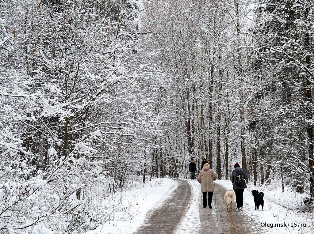 природа шепчет - Олег Лукьянов