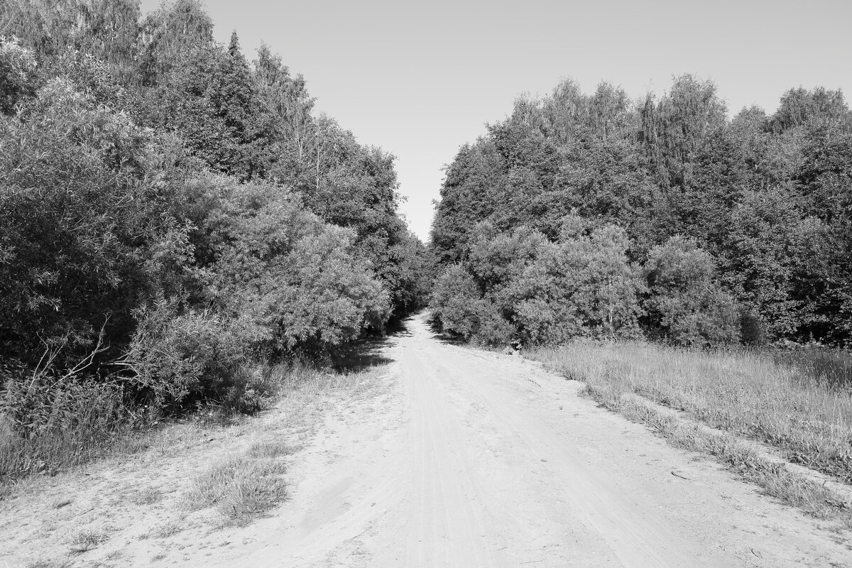 Фотография - Денис Безногов