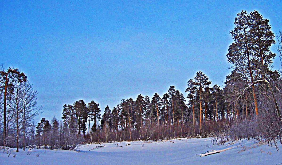 Январь...Спящая протока! - Владимир 