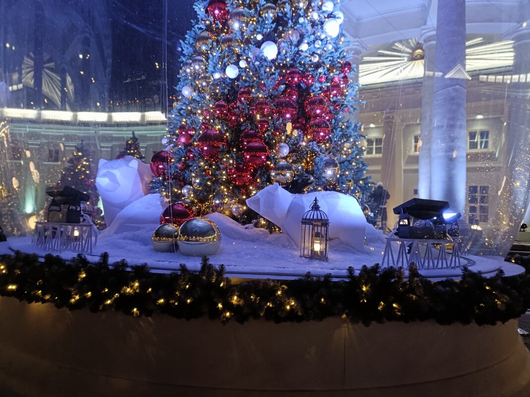 у ёлочки... - Галина R...