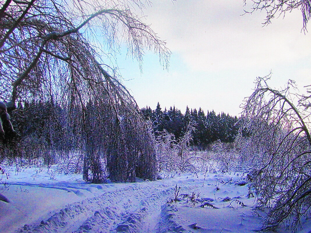 Под тяжестью снега - Людмила Смородинская