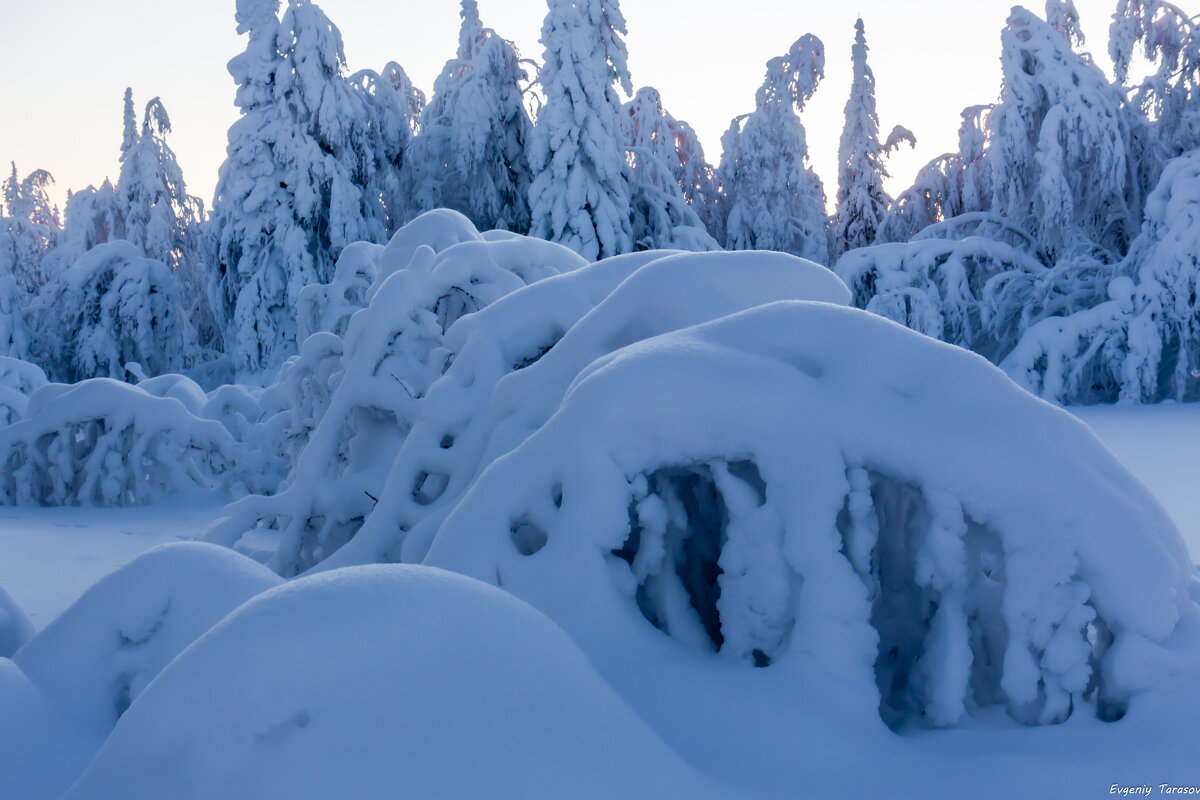 Сугробы - Евгений Тарасов 