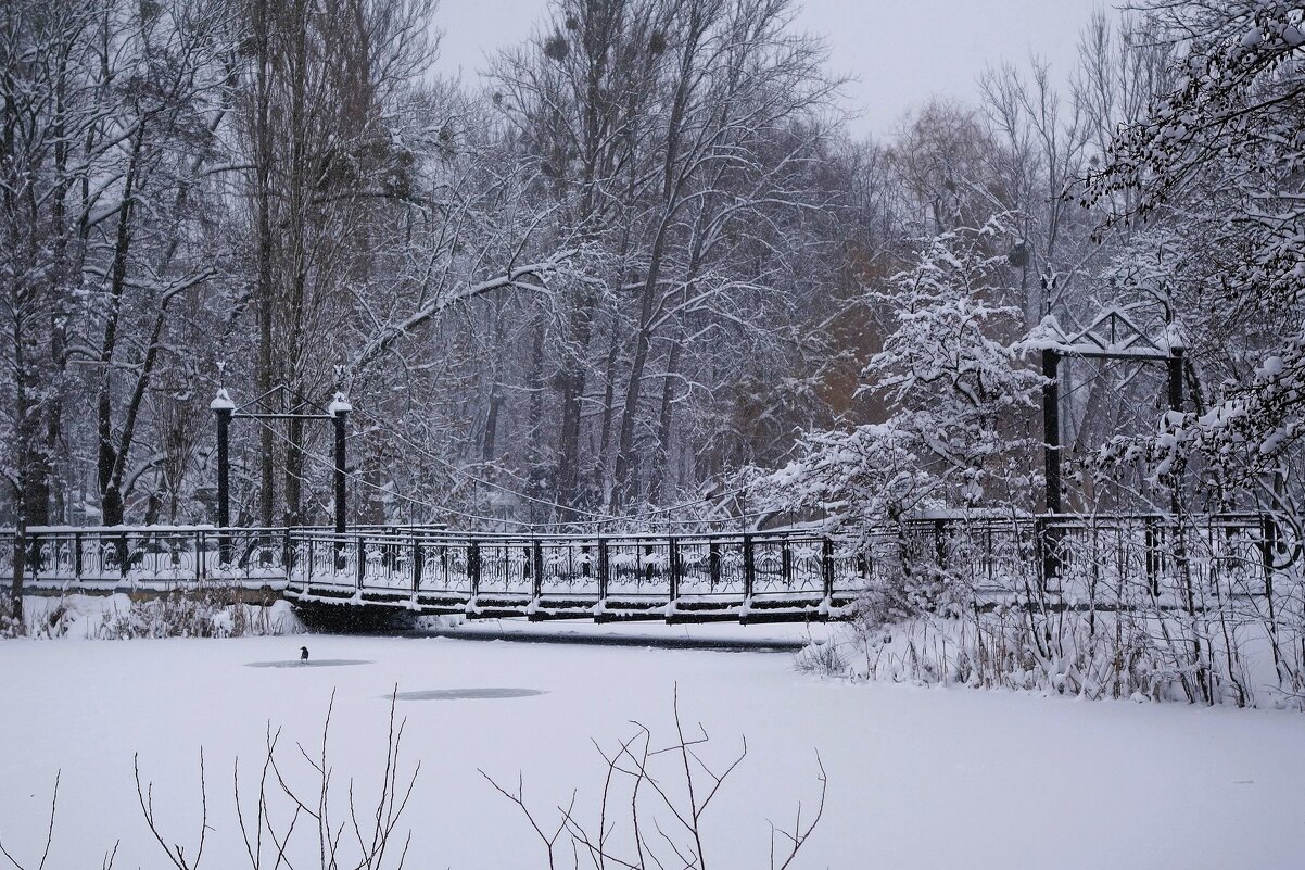 Парк Южный, Калининград - Рита Симонова