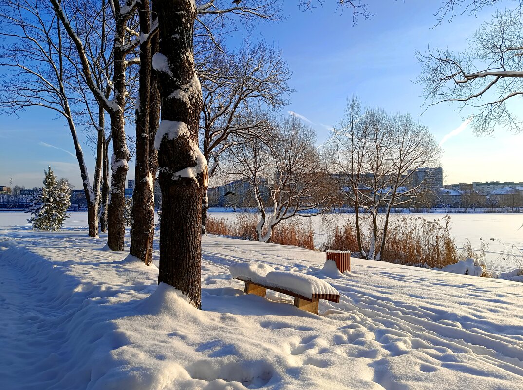 В парке солнечным днём - Мария Васильева