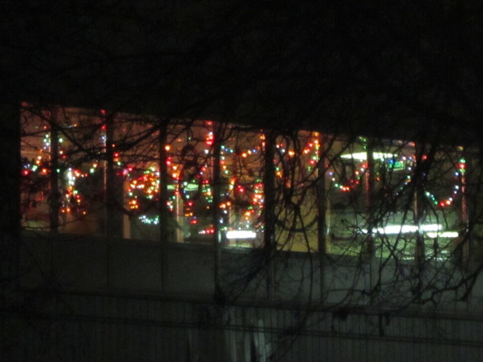 Новогодние огни - Дмитрий Никитин