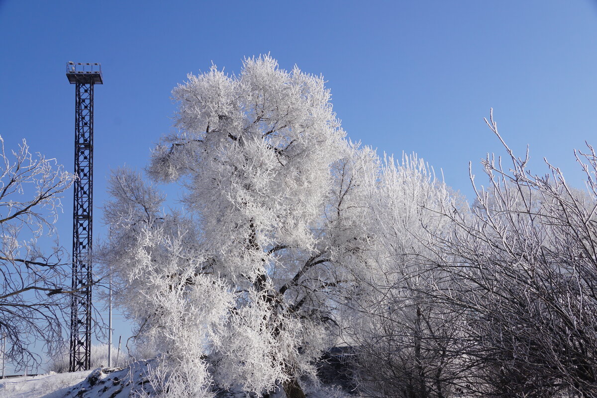 Около вышки - Наталия Григорьева Около вышки - Наталия Григорьева
