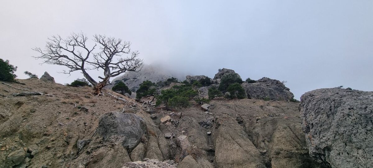 Крым, Новый Свет, декабрь 2025 - Екатерина Леш