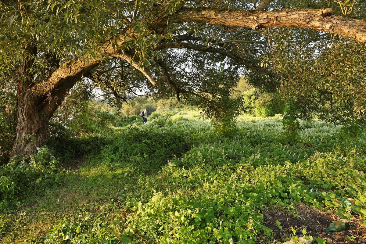 Под аркой... - Сергей Рожков