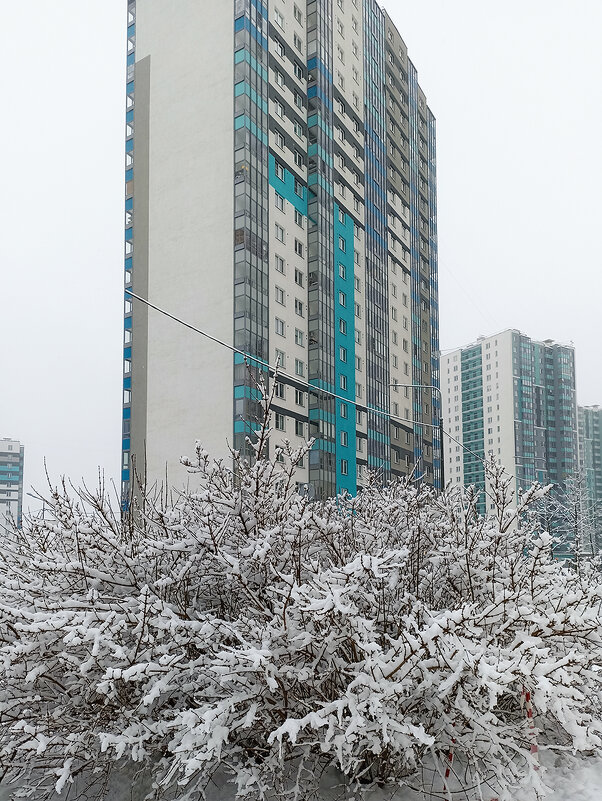 Зима в одежды белые одела всё вокруг! - Лилия *