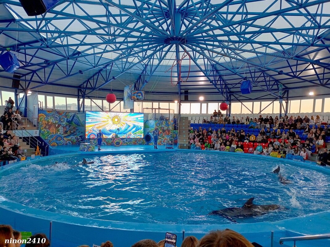 Адлер... Сочи Парк... шоу дельфинов... - Нина Бутко Адлер... Сочи Парк... шоу дельфинов... - Нина Бутко