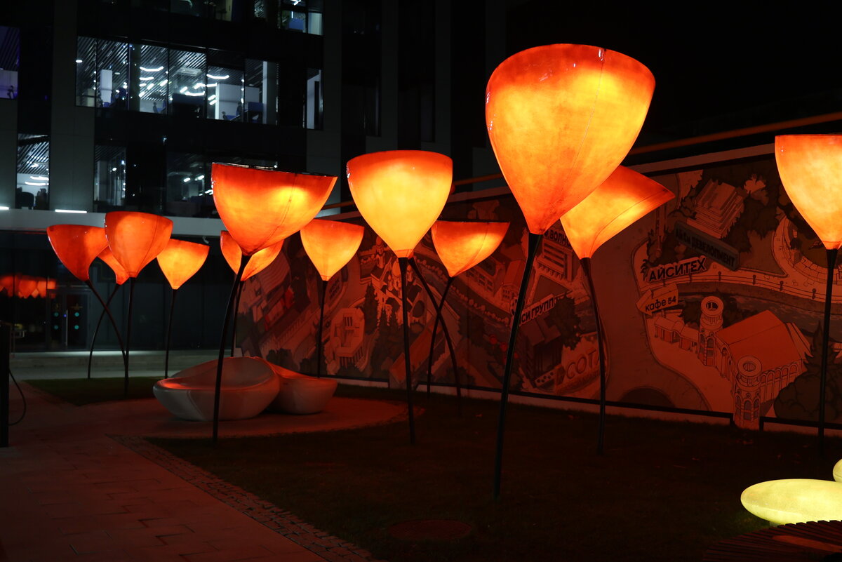 Новые огни - Vsevolod 