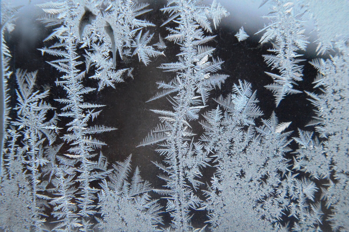 Чудо-витражи раскинула волшебница - Зима... - Надежда Куркина 