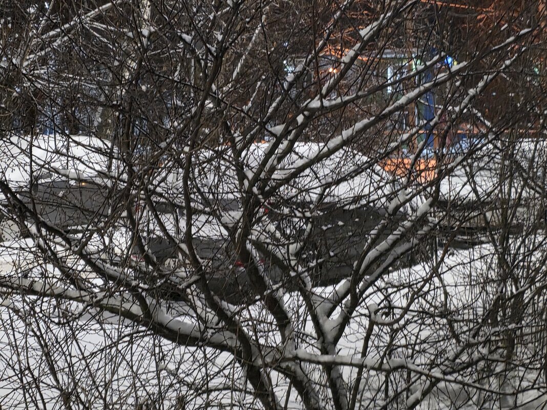 "спутано - запутано" - Olga Oskolkova "спутано - запутано" - Olga Oskolkova