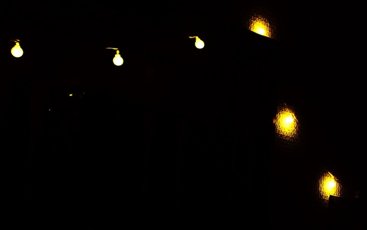 Жена снимала. Гирлянда. - Василий Палий