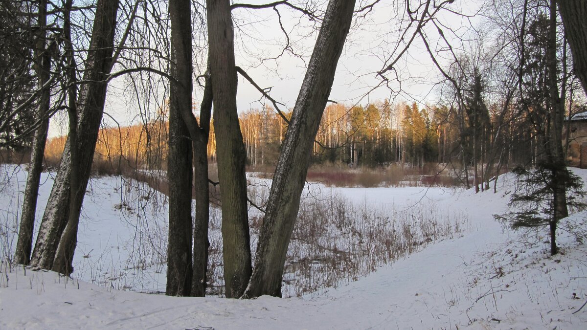 Павловский парк - Наталья Герасимова