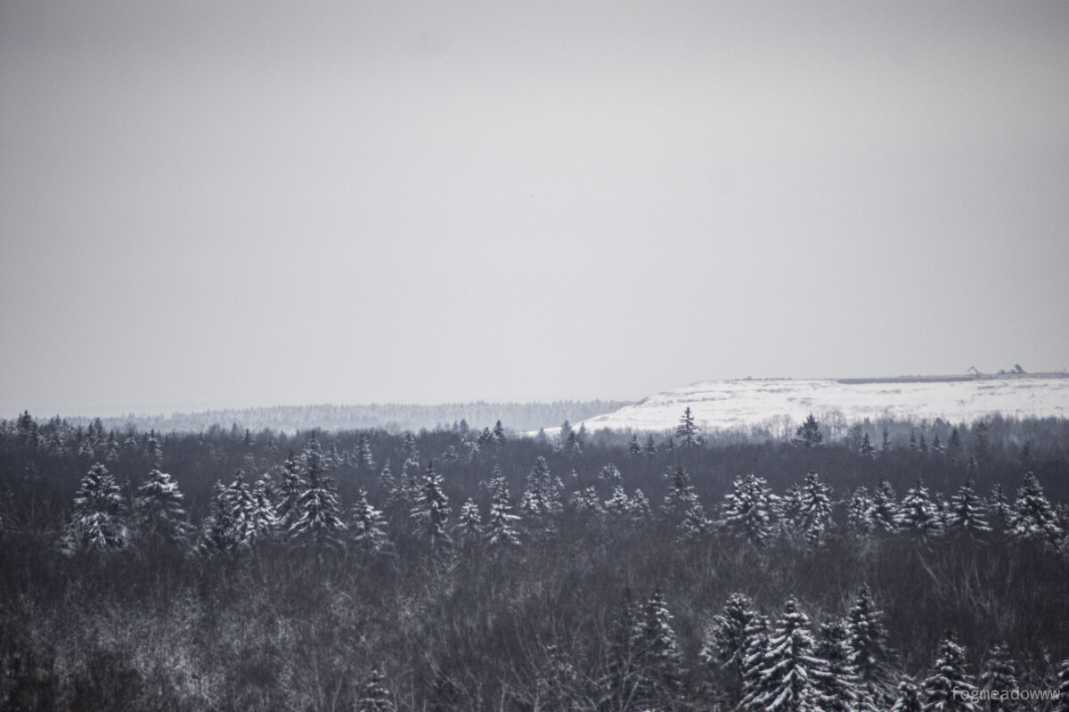 Деревня Борис-Глеб в Клинском районе Московской области - fogmeadowww m