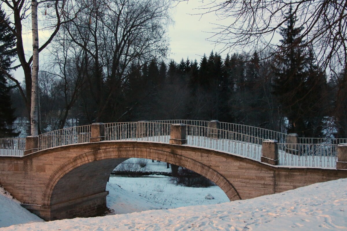Павловский парк - Наталья Герасимова