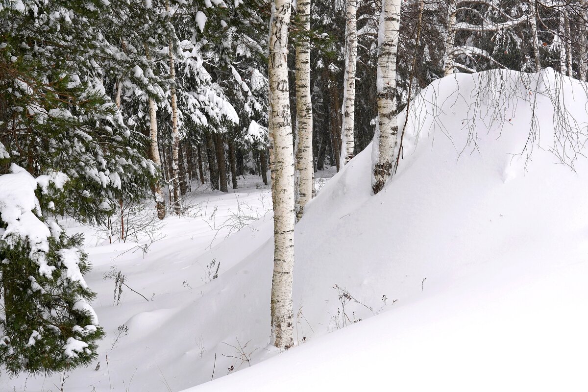 Зима за городом - Татьяна Тюменка