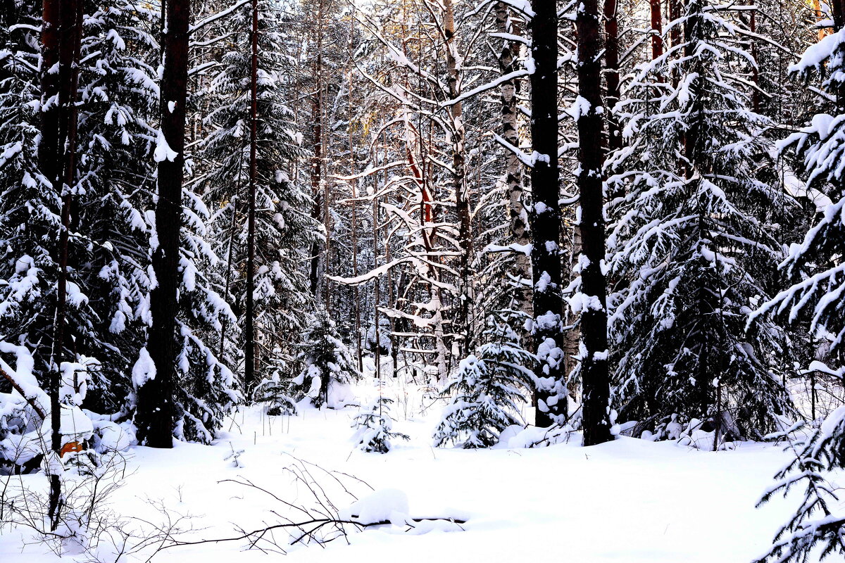 *** - Александр 