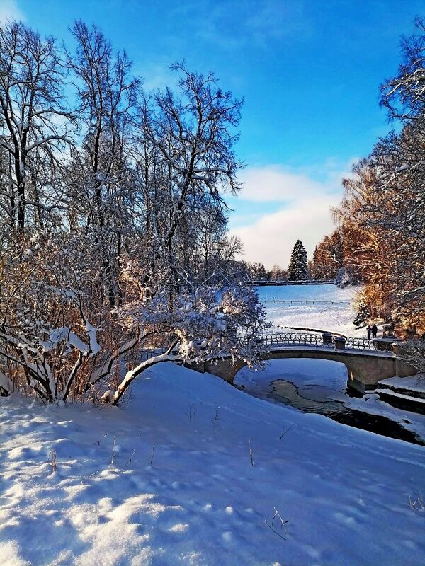 Зимний мостик. - Vladimir Semenchukov