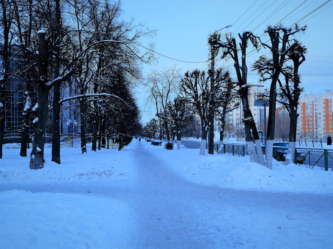 Чебоксары. Аллея улицы Энгельса зимой. - Пётр Чернега