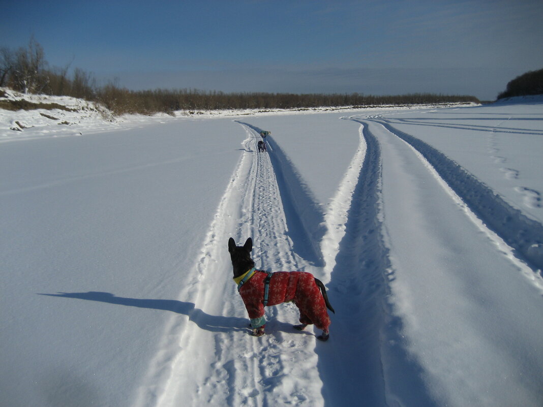 На острова - Anna Ivanova