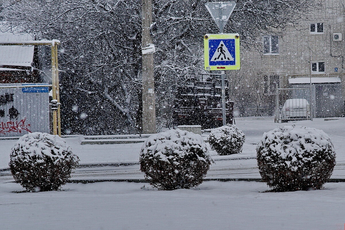 Непогода... - Николай Саржанов Непогода... - Николай Саржанов
