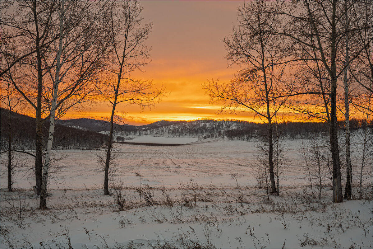Пожар заката... - Алексей Мезенцев