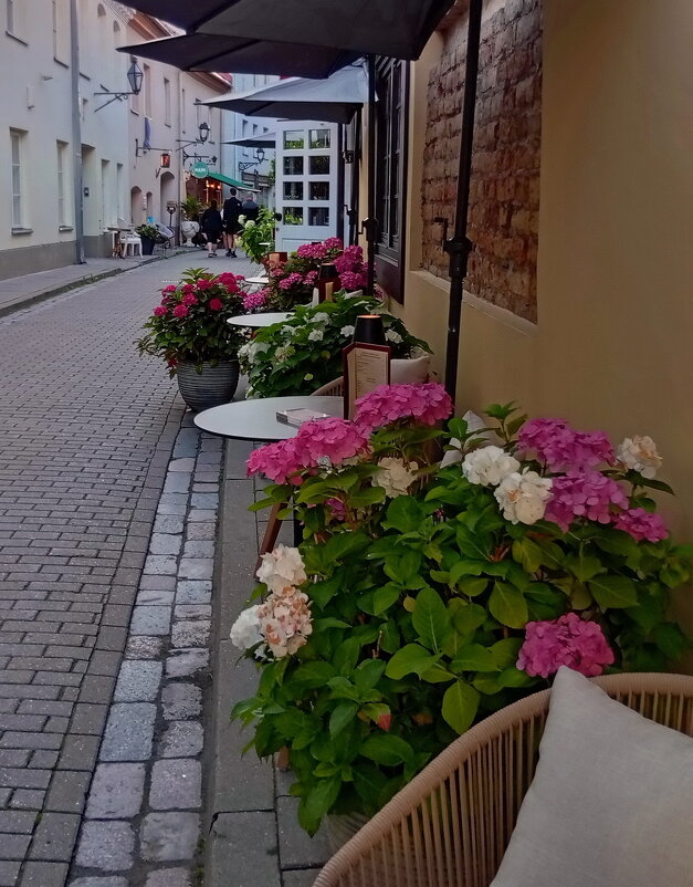 Летним вечером .. - Татьян@ Ивановна