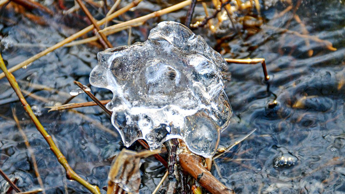 Ледяное сердце - Alexandеr P